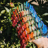 RAINBOW JUNE