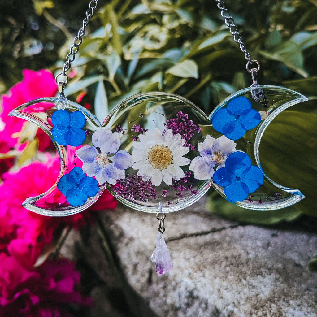 BLUE DAISY