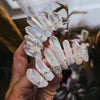 ANGEL AURA MINI-CROWN