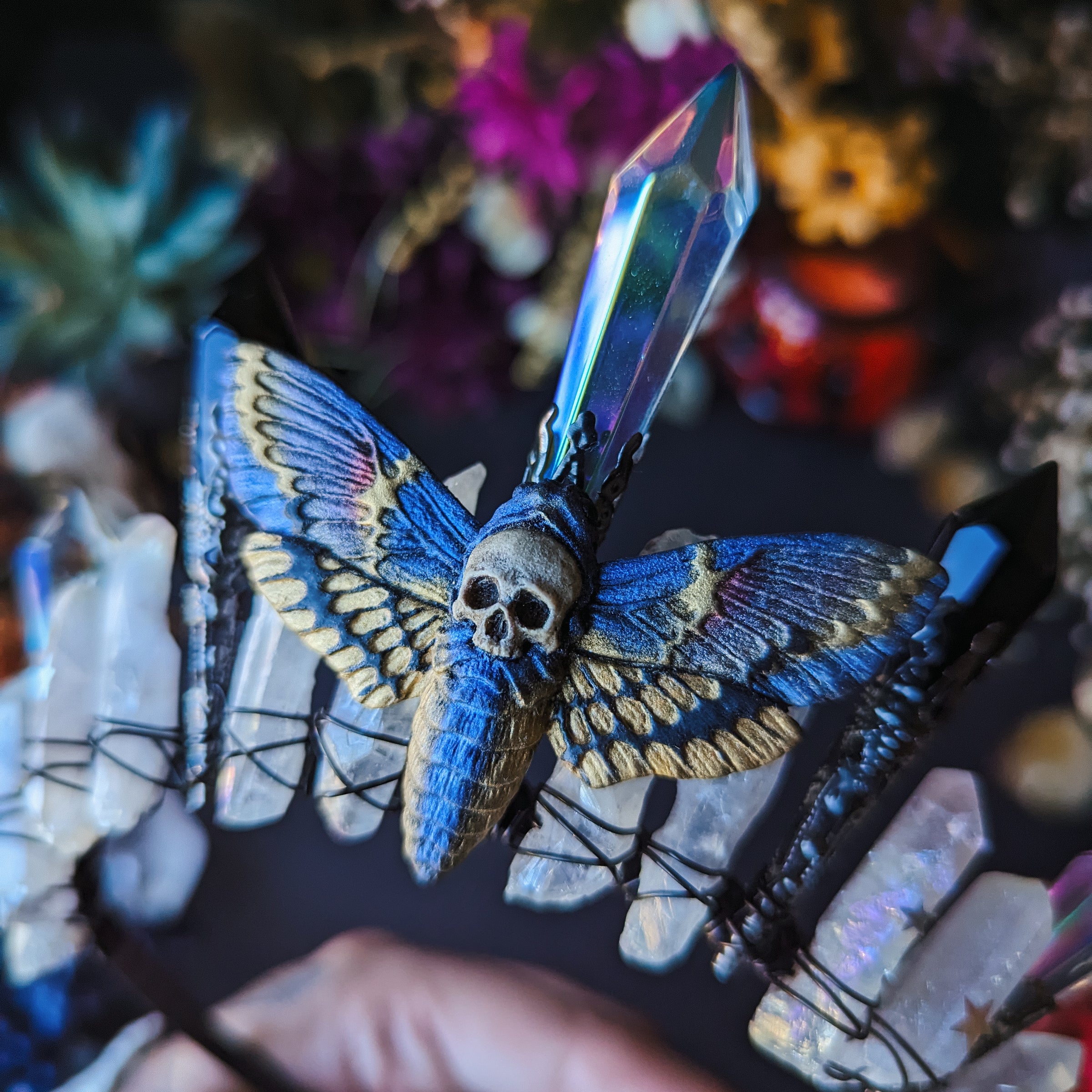 CLOUDY MOTH