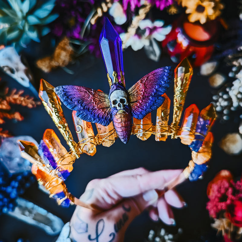 SUNRISE MOTH