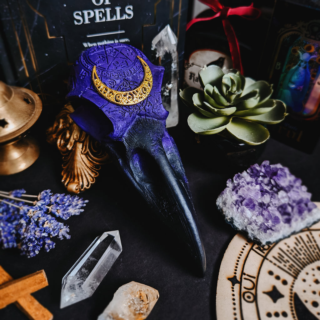 RAVEN - BLACK & PURPLE