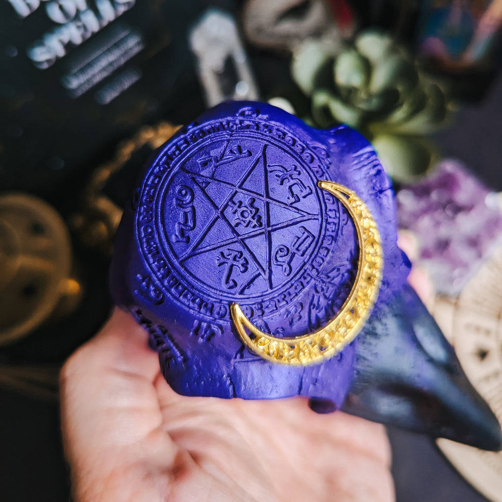 RAVEN - BLACK & PURPLE