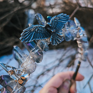 BIRDY