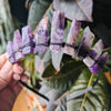 MINI AMETHYST DARK
