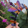 SMALL CRYSTAL MOTH