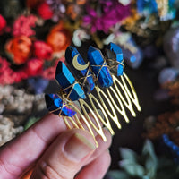 GOLD-BLUE COMB🌙