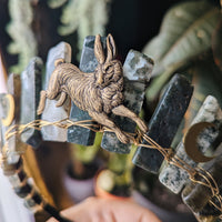 WILD HARE