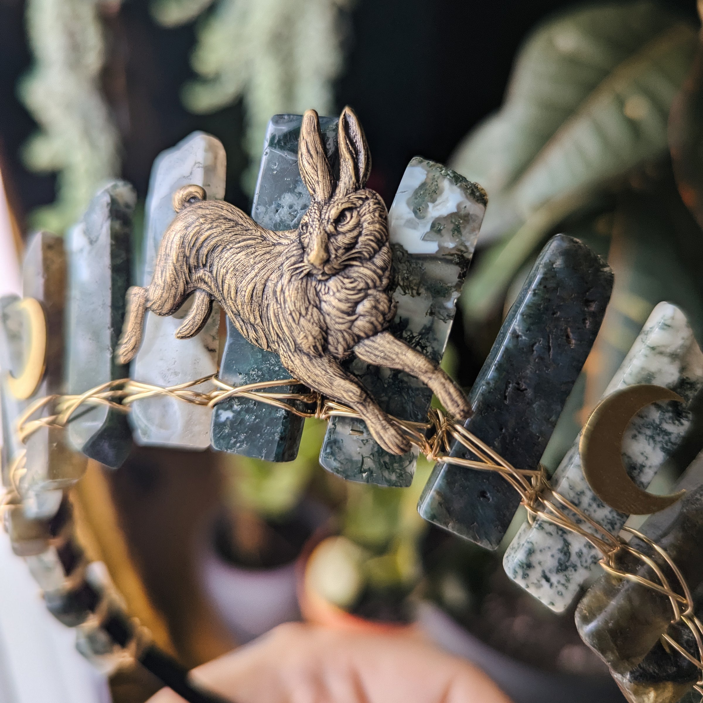 WILD HARE