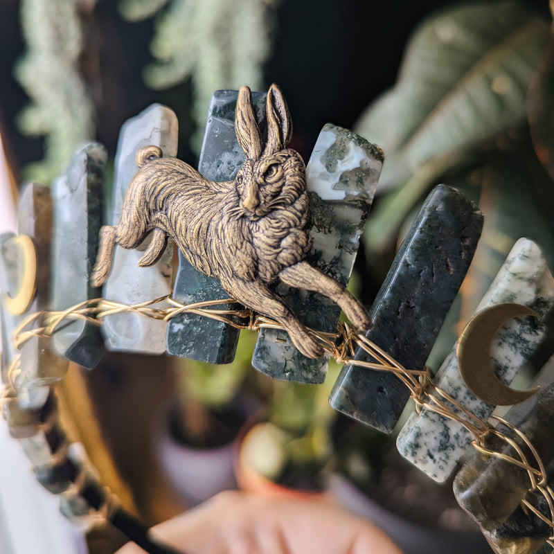 WILD HARE