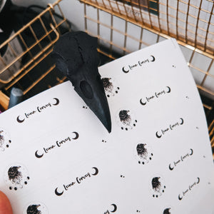 BLACK RAVEN CLIP