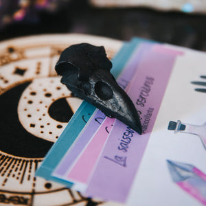 BLACK RAVEN CLIP