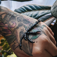 CLAW