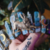 WILD HARE