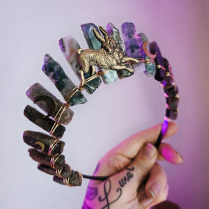 WILD HARE