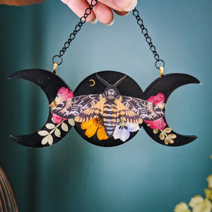 SHINY DEATHMOTH