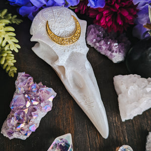 RAVEN - WHITE