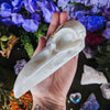 RAVEN - WHITE