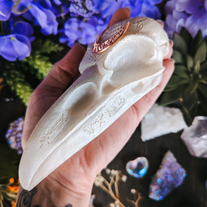 RAVEN - WHITE/PINK