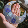 HOLDING CLUSTER