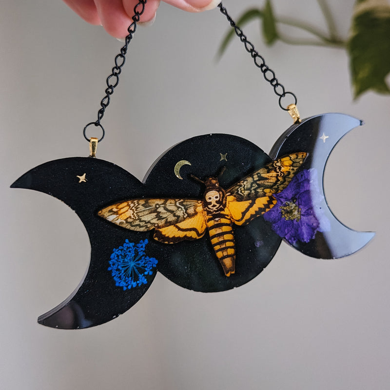 NIGHT MOTH