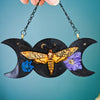 NIGHT MOTH
