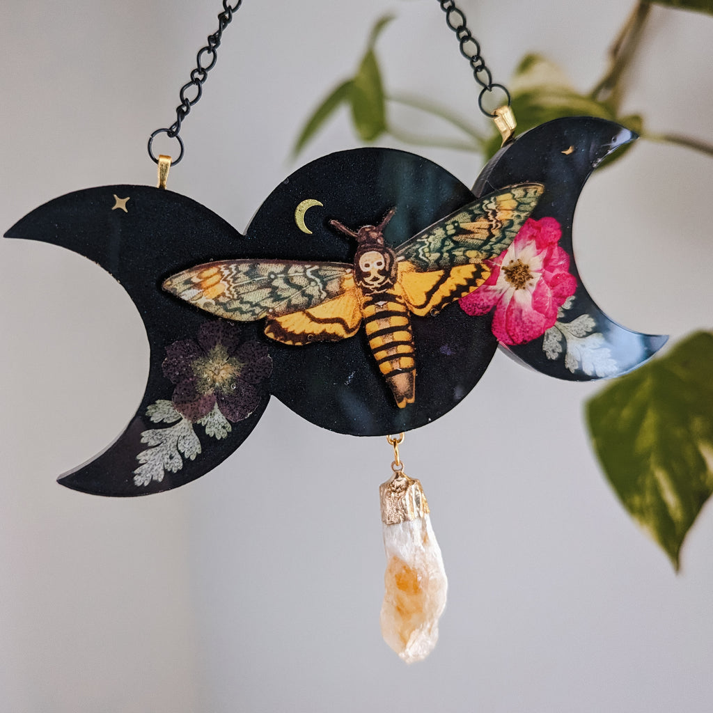 CITRINE MOTH