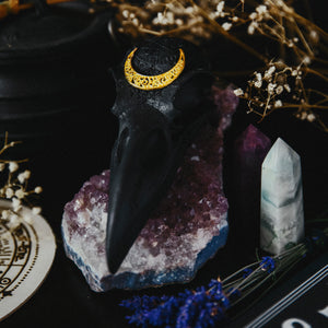 RAVEN - BLACK
