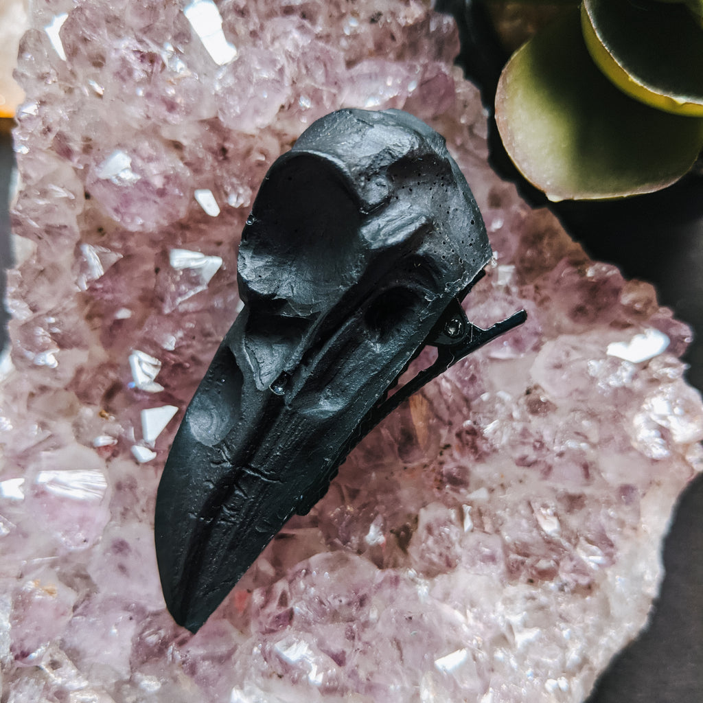 BLACK RAVEN CLIP