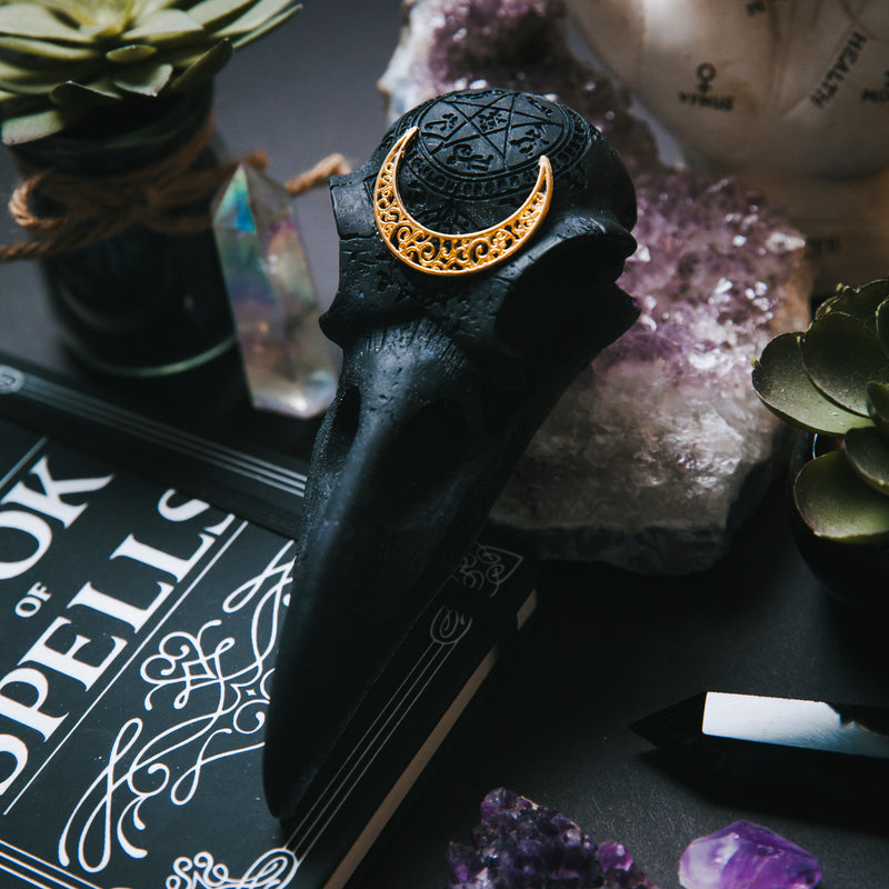 RAVEN - BLACK