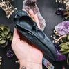 RAVEN - BLACK