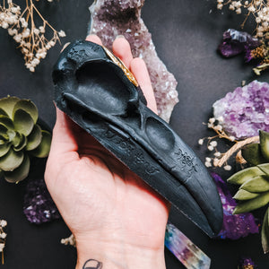 RAVEN - BLACK
